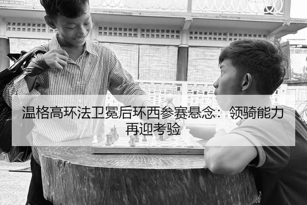 wen-ge-gao-huan-fa-wei-mian-hou-huan-xi-can-sai-xuan-nian-ling-qi-neng-li-zai-ying-kao-yan-2-355.jpg
