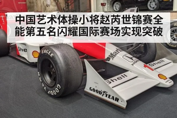 中国艺术体操小将赵芮世锦赛全能第五名闪耀国际赛场实现突破